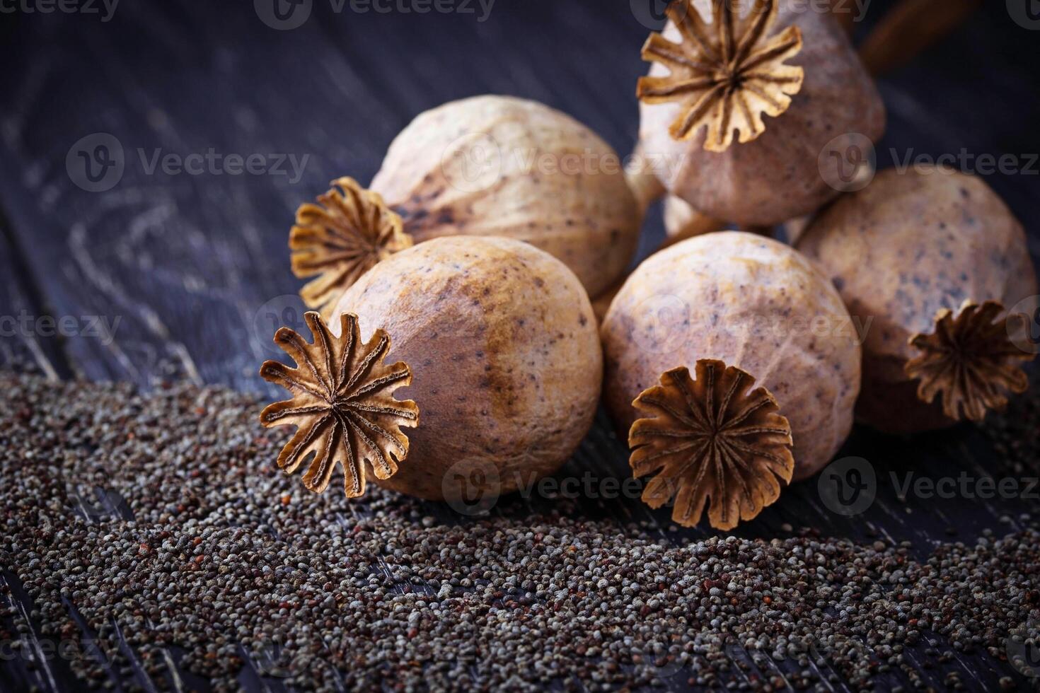 Poppy seeds and heads on wooden background photo
