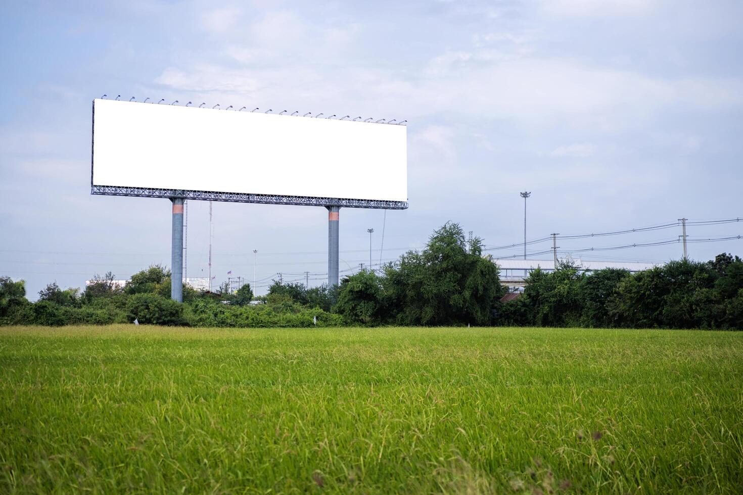blank billboard on the sideway in the park. image for copy space, advertisement, text and object. white billboard in natural green. photo