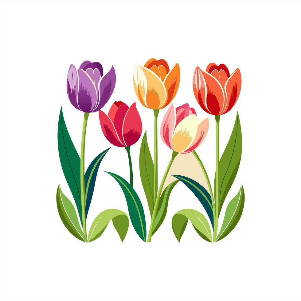 Various types of colorful flowers vector
