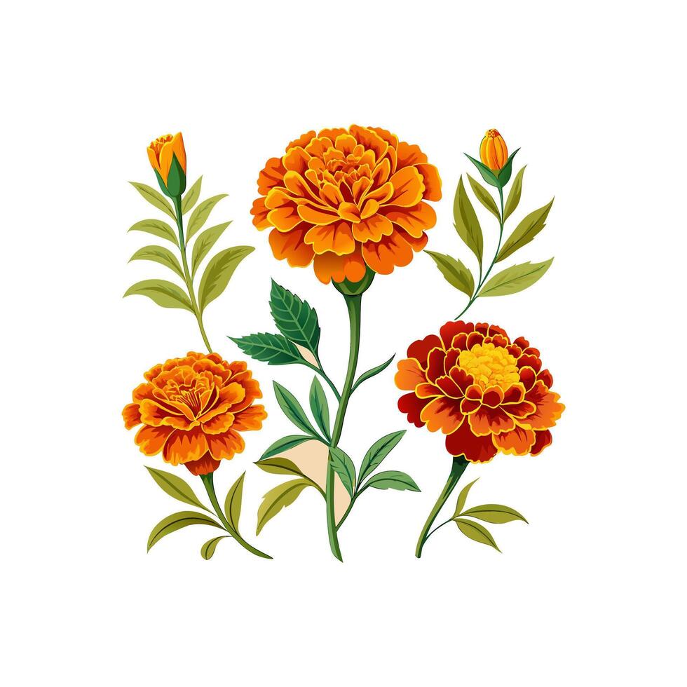 Outline flower set for artistic designs. vector