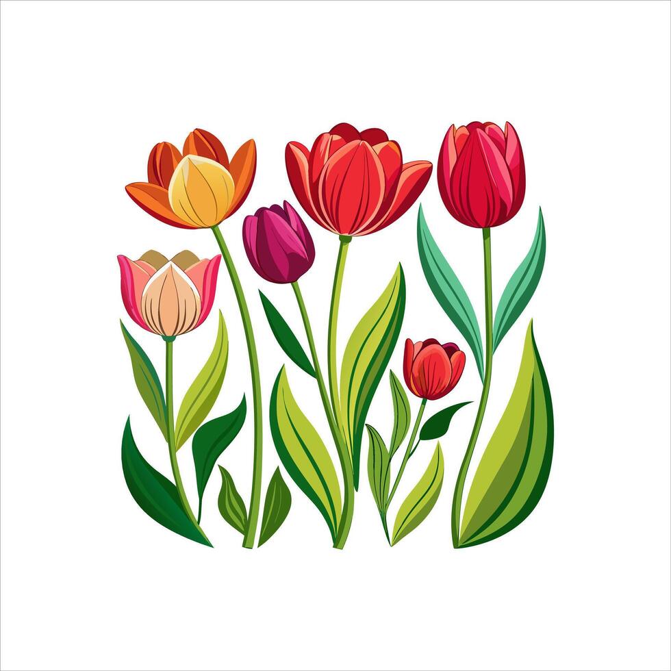 Various types of colorful flowers vector