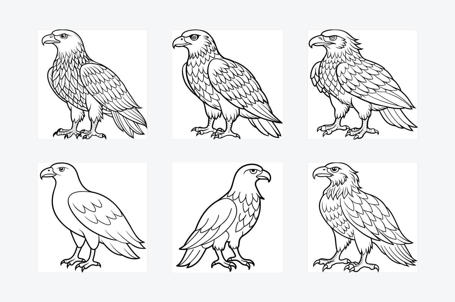 Golden Eagle full body illustrator, Hawk black icon, Hawk silhouette vector