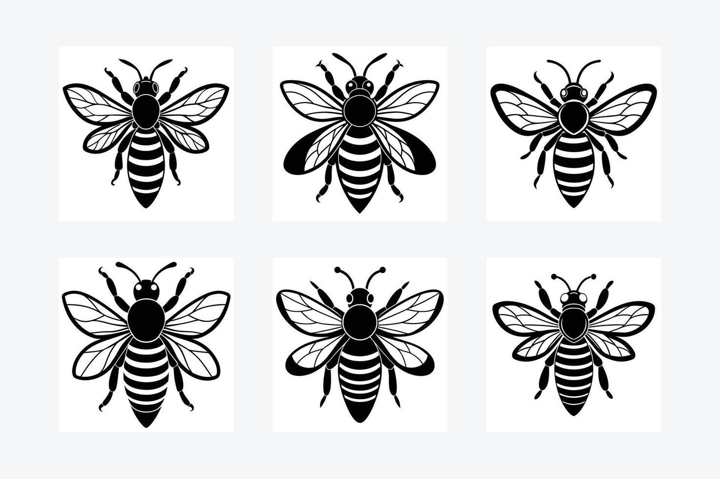 Bee, honey bee isolated on a white background. Naturalistic, scientific, botanical engraved illustration, drawing, vector