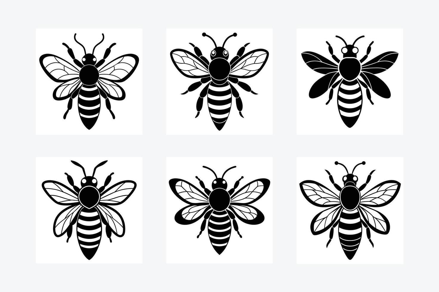 Bee, honey bee isolated on a white background. Naturalistic, scientific, botanical engraved illustration, drawing, vector
