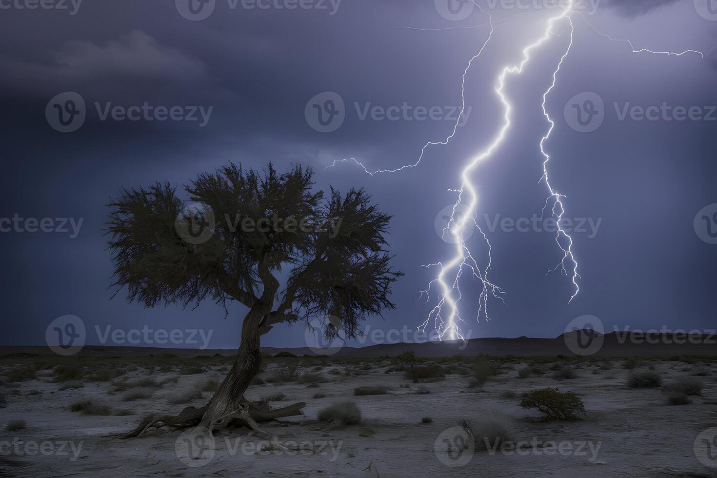 Lone tree struck by lightning in stormy desert landscape photo