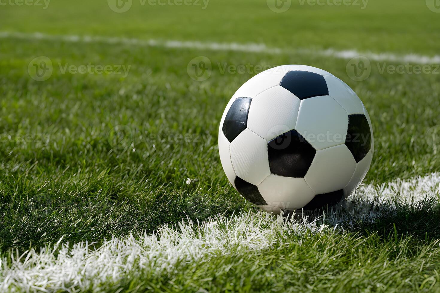 Traditional black and white soccer ball on lush green field, boundary line photo