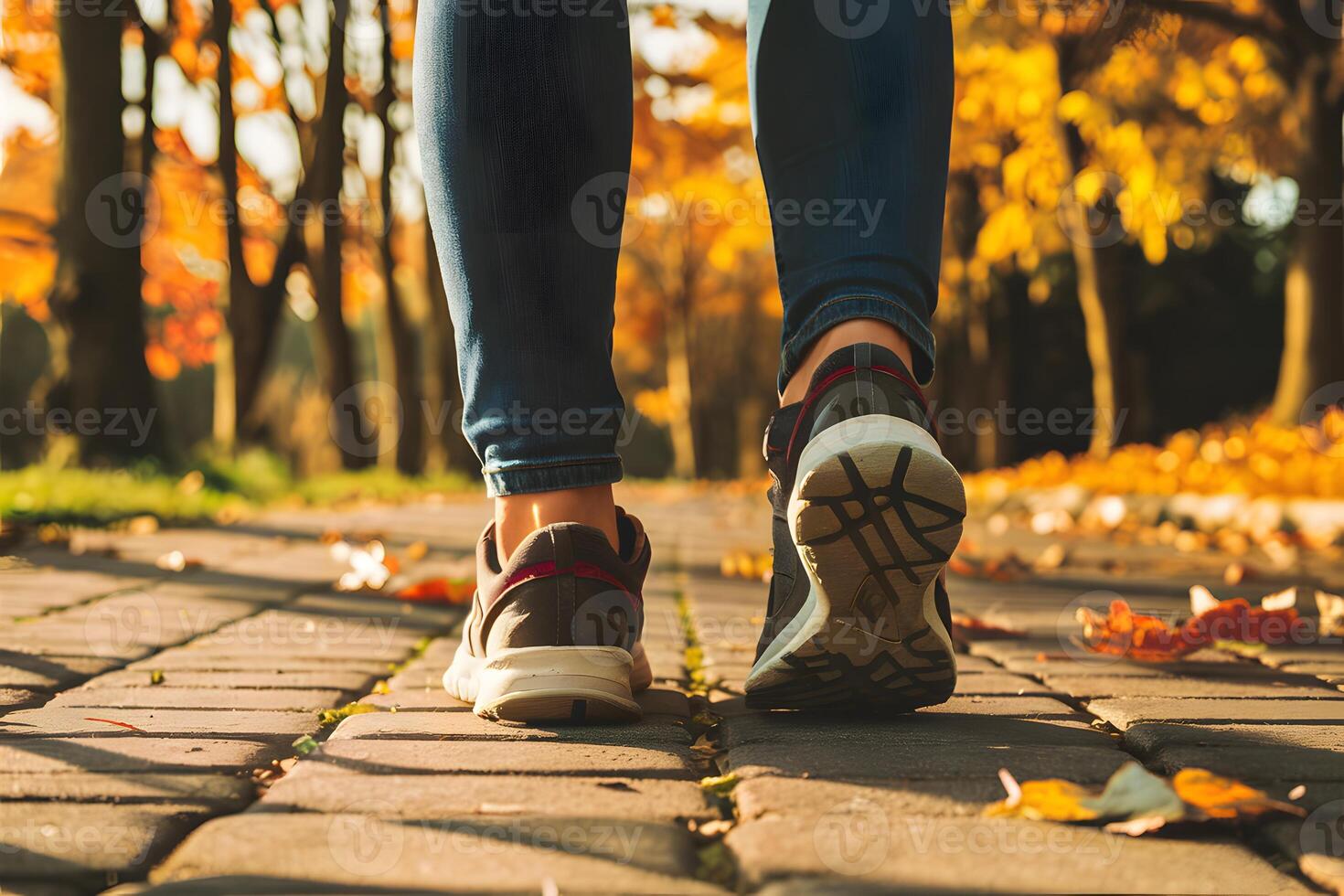 Person walking on autumn path with vibrant leaves and sunlight photo