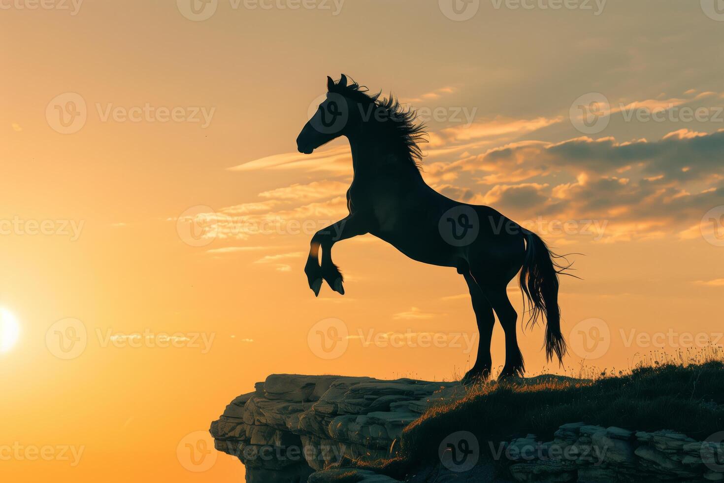 A wild stallion at a cliff in the sunset photo