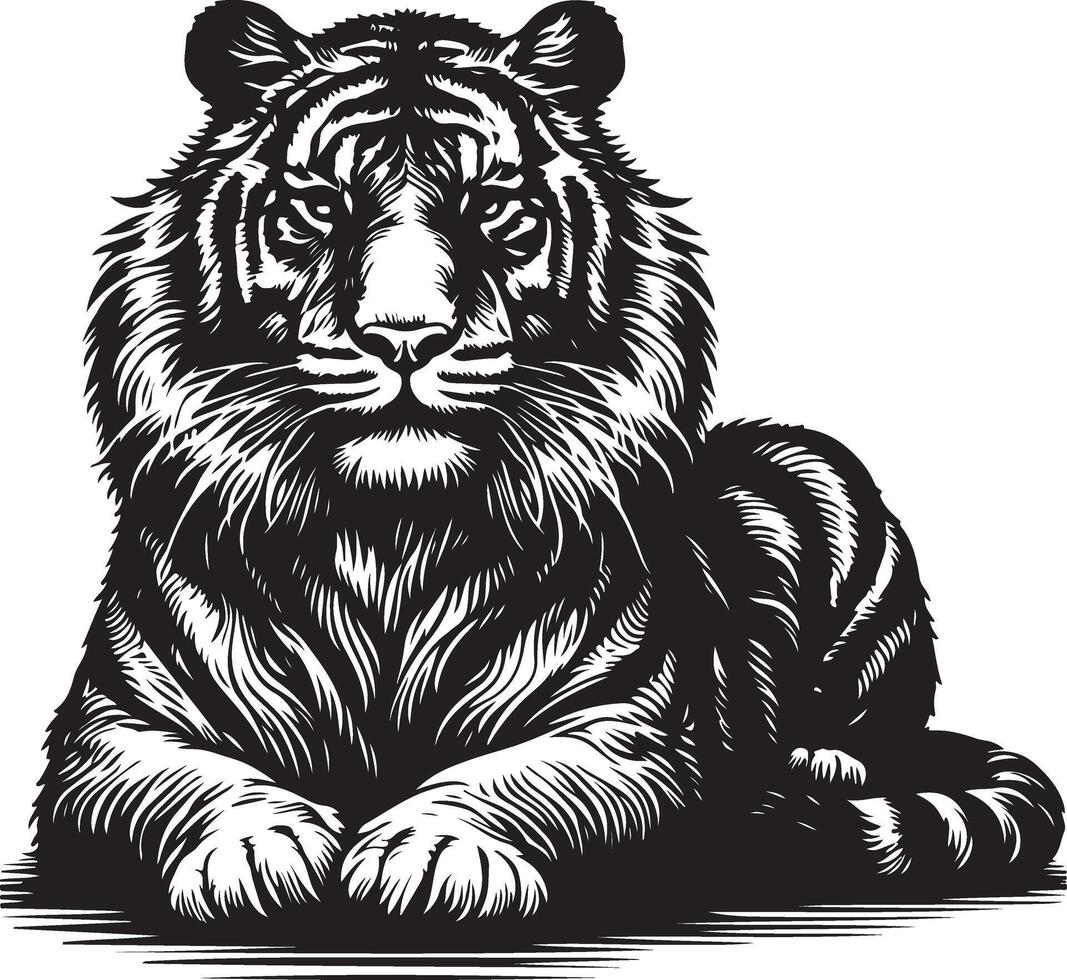 Tiger Sketch art Tiger line art silhouette illustration vector