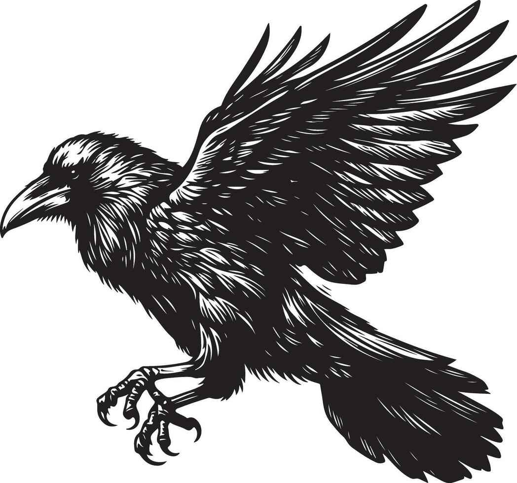 Raven Sketch art Raven line art silhouette illustration vector