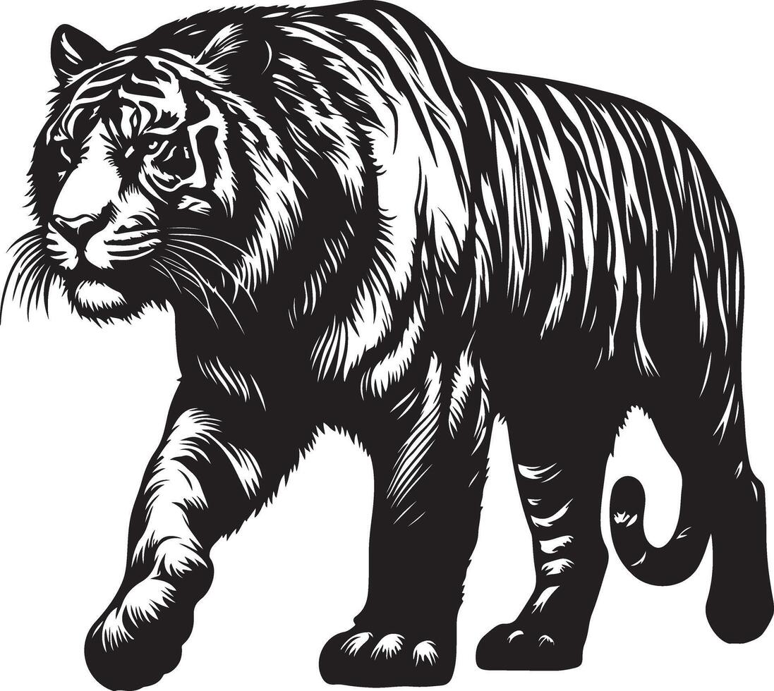 Tiger Sketch art Tiger line art silhouette illustration vector