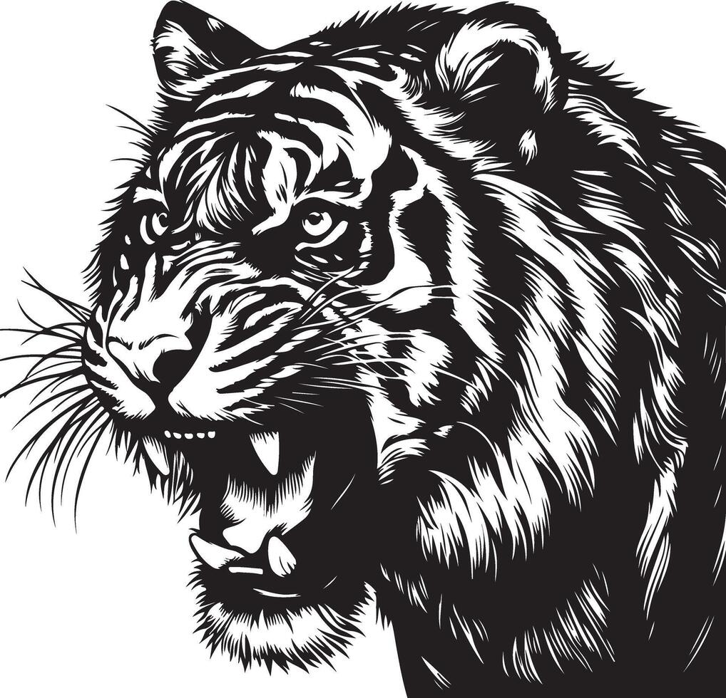 Tiger Sketch art Tiger line art silhouette illustration vector