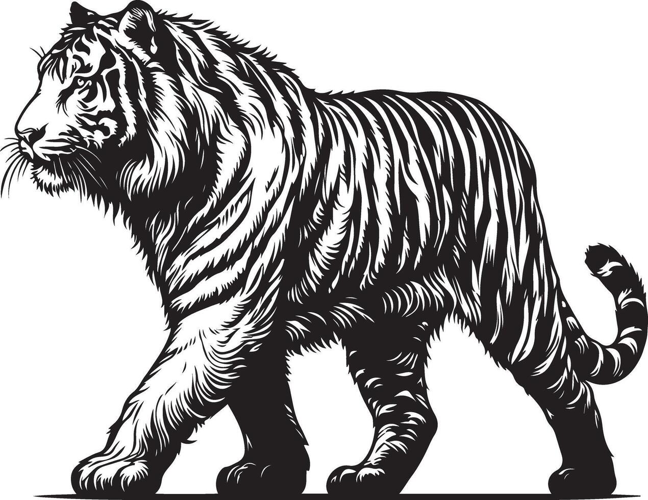 Tiger Sketch art Tiger line art silhouette illustration vector
