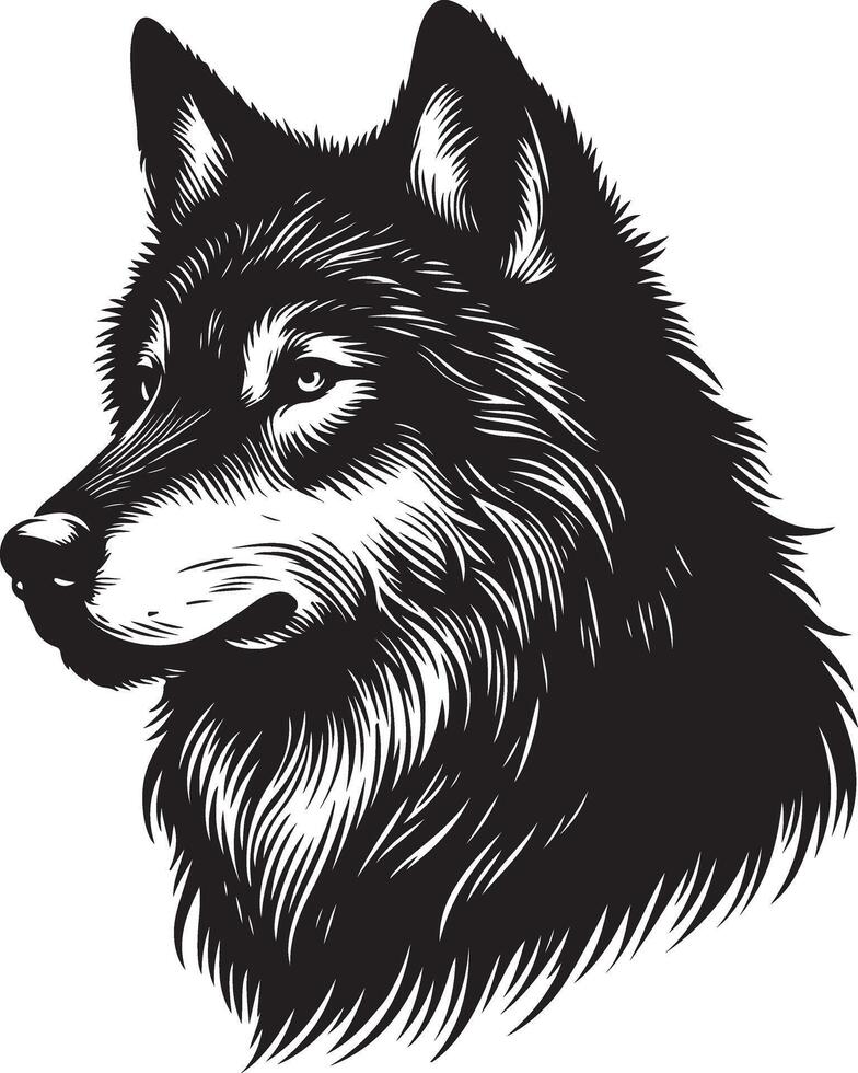 Fox sketch art Fox line art Wolf sketch art Wolf line art silhouette illustration vector