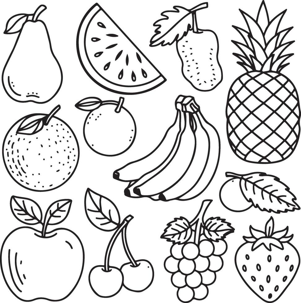 Fruits coloring page for kids colouring book page illustration vector