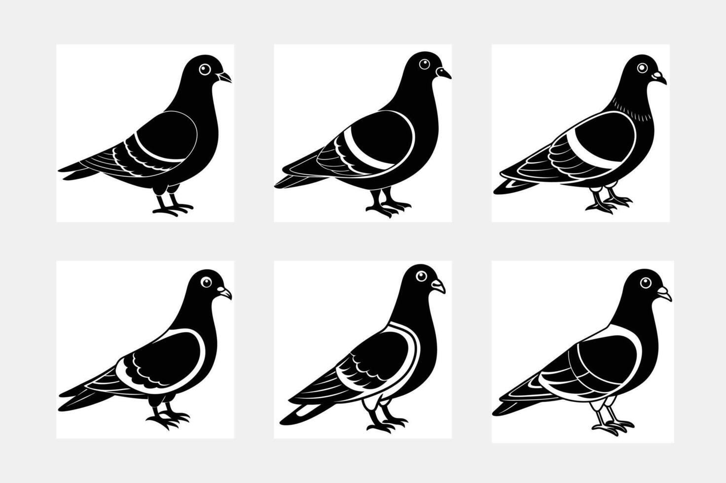 silhouette of the Feral Pigeon vector