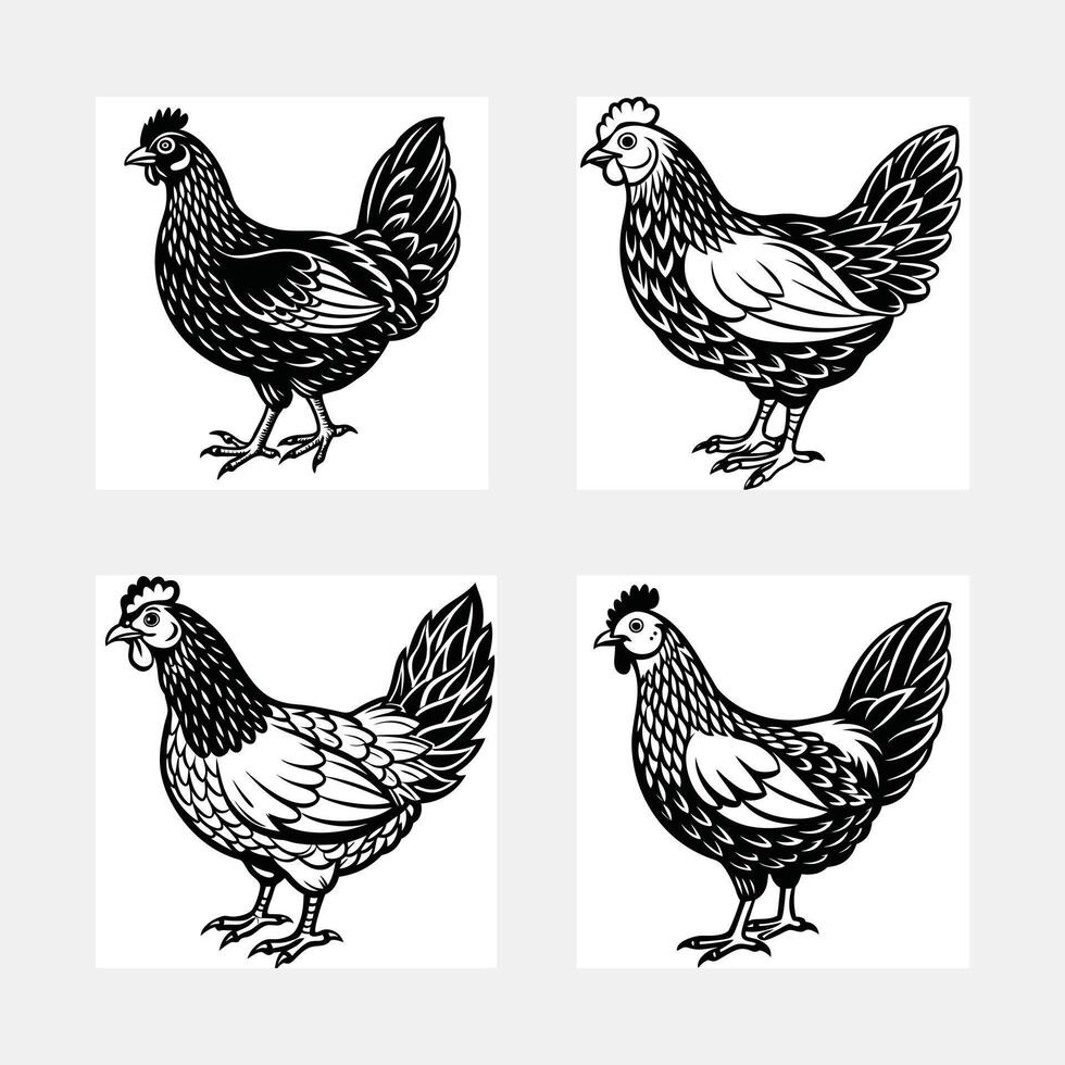 set of poultry domestic animals vector