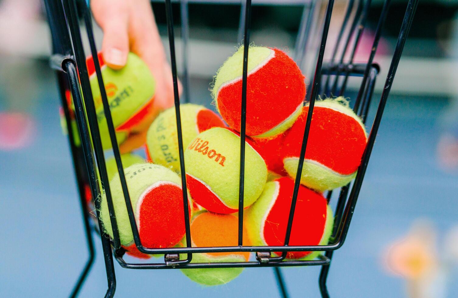 Beginner Tennis Balls in Basket Close-Up. Minsk, Belarus - October 18, 2021 photo