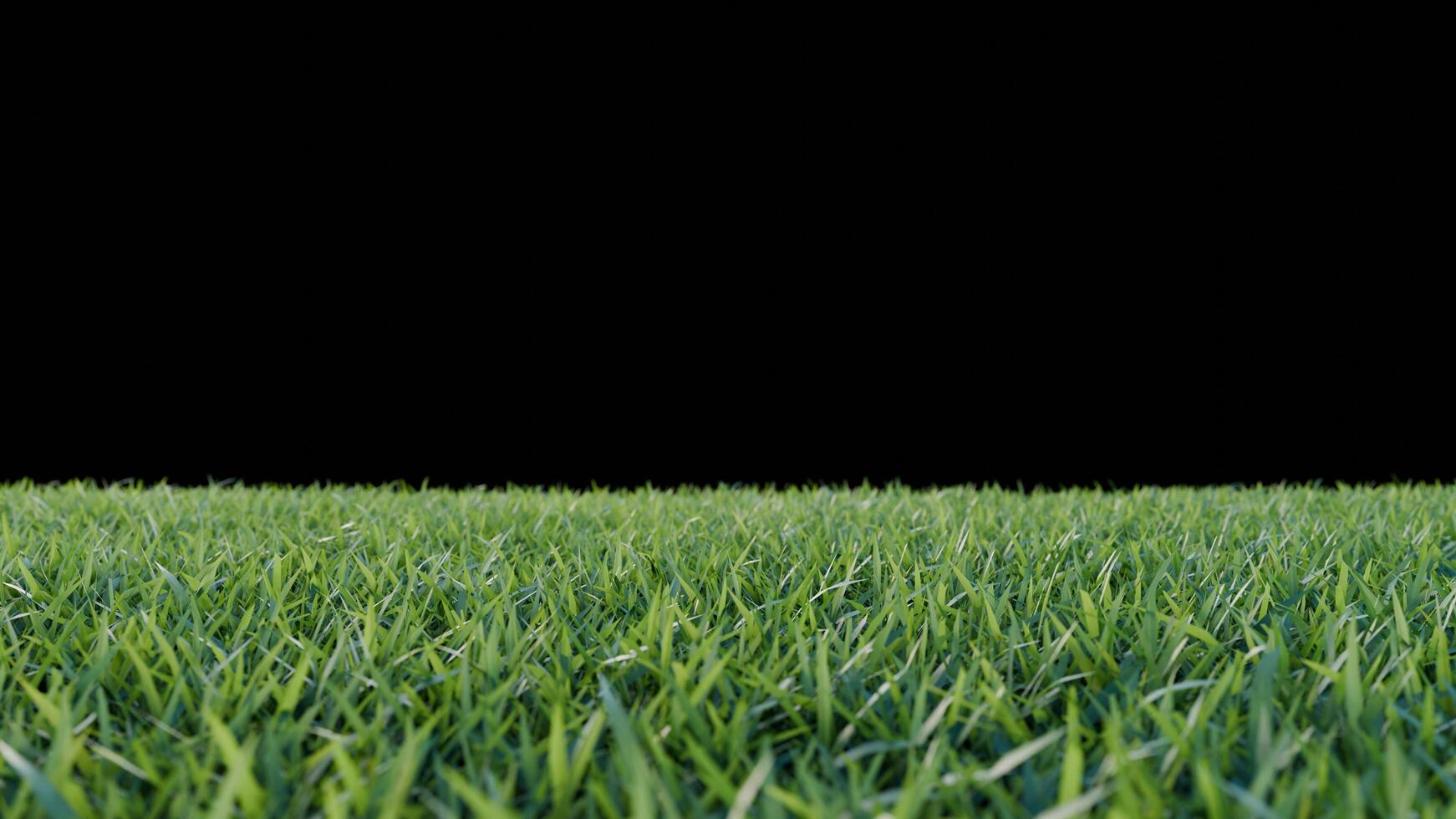 green grass and flower on black background photo