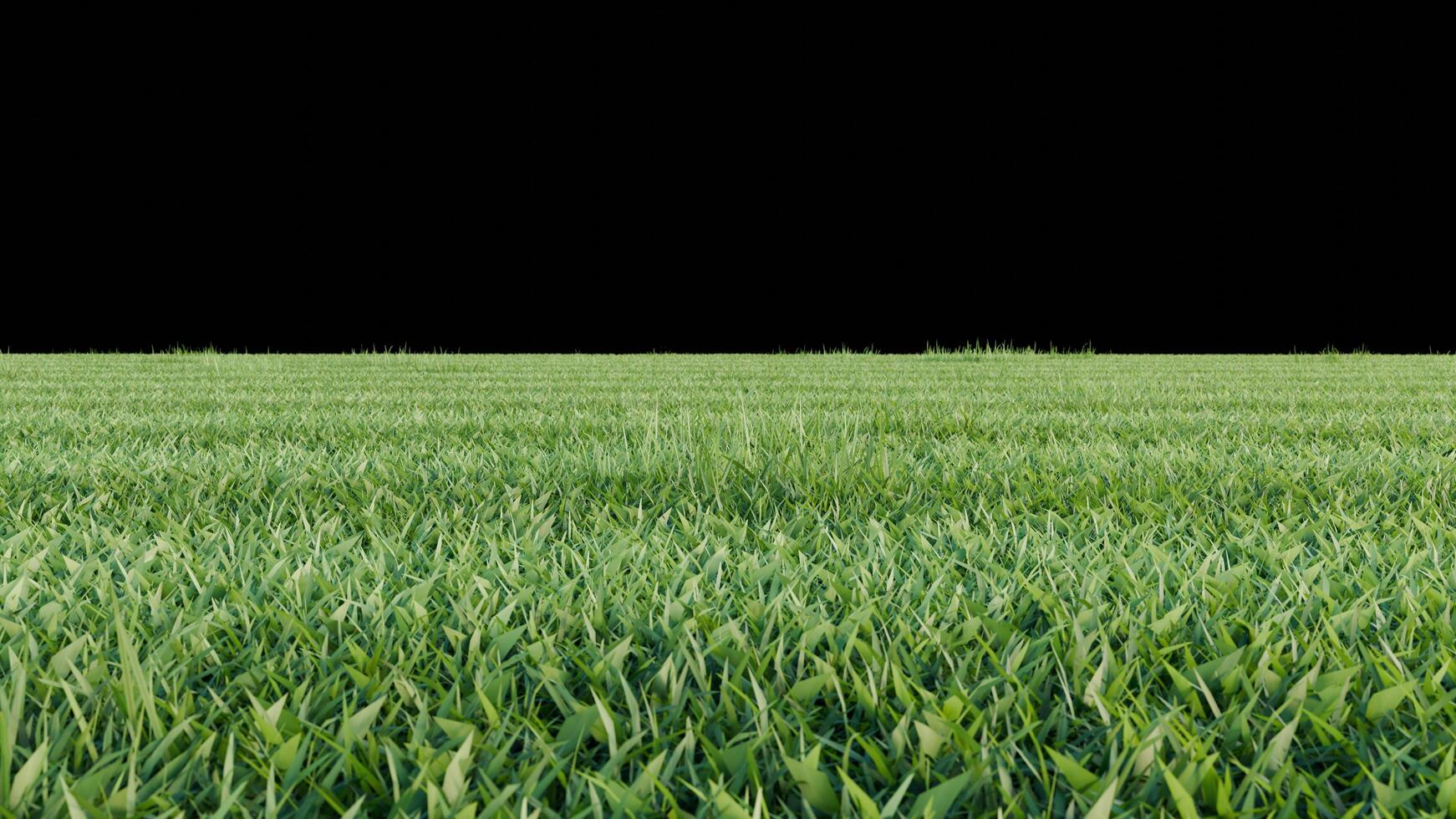 green grass and flower on black background photo