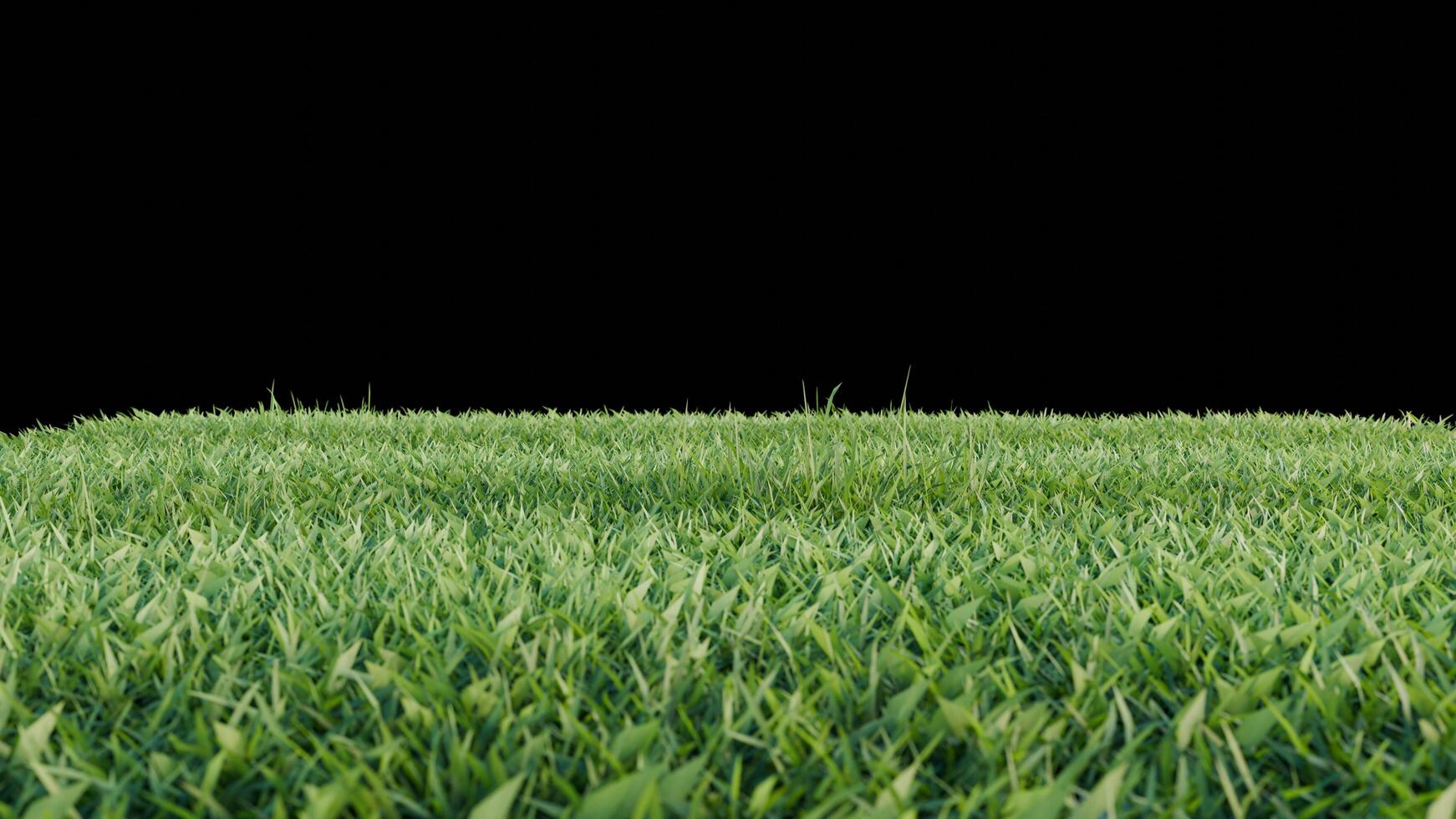 green grass and flower on black background photo