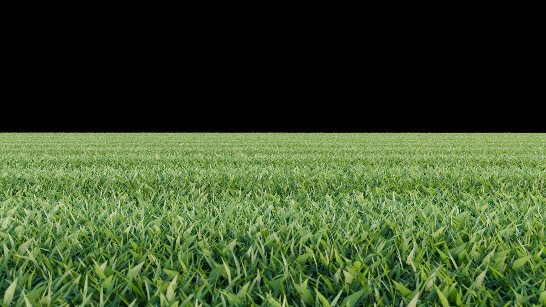 green grass and flower on black background photo