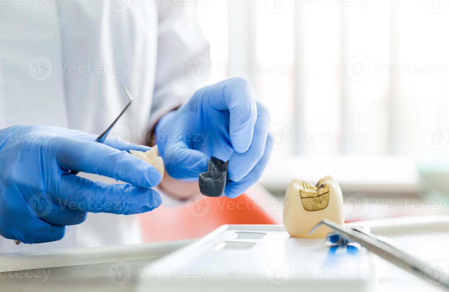 Dentist Demonstrating Tooth Models Close-Up photo