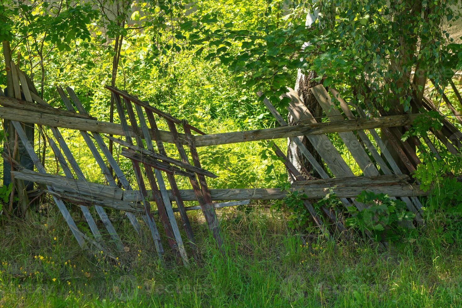 wooden fence with a broken section photo