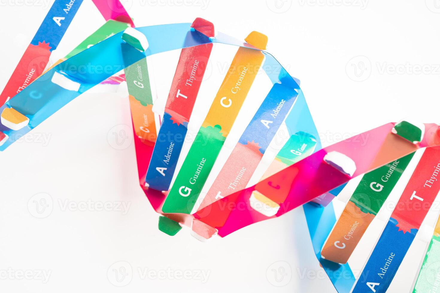 DNA or Deoxyribonucleic acid is a double helix chains structure formed by base pairs attached to a sugar phosphate backbone. photo