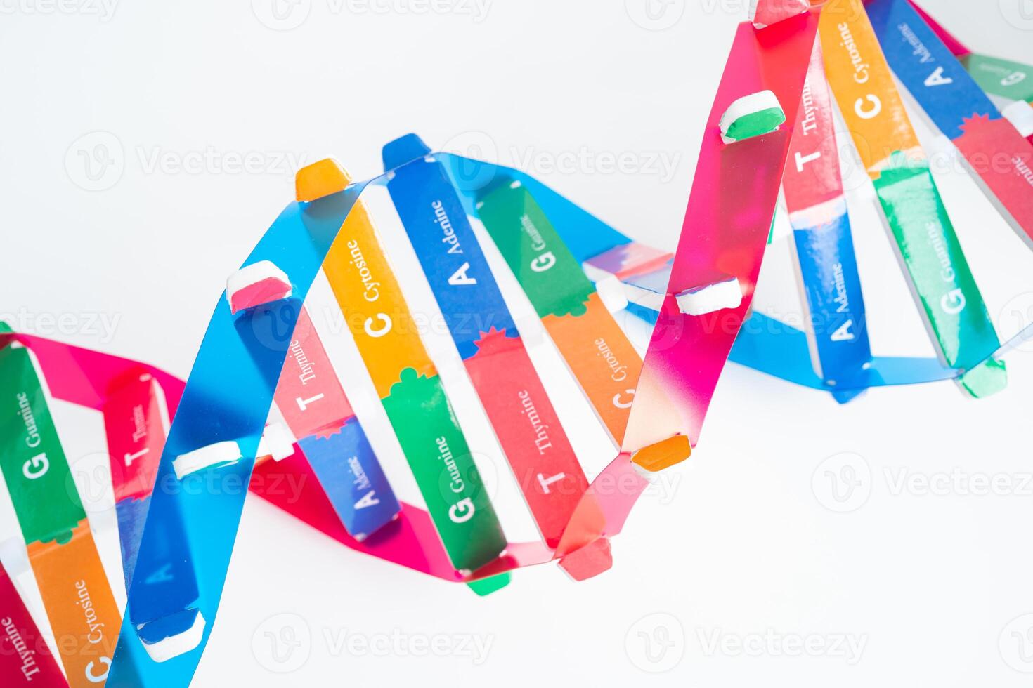 DNA or Deoxyribonucleic acid is a double helix chains structure formed by base pairs attached to a sugar phosphate backbone. photo