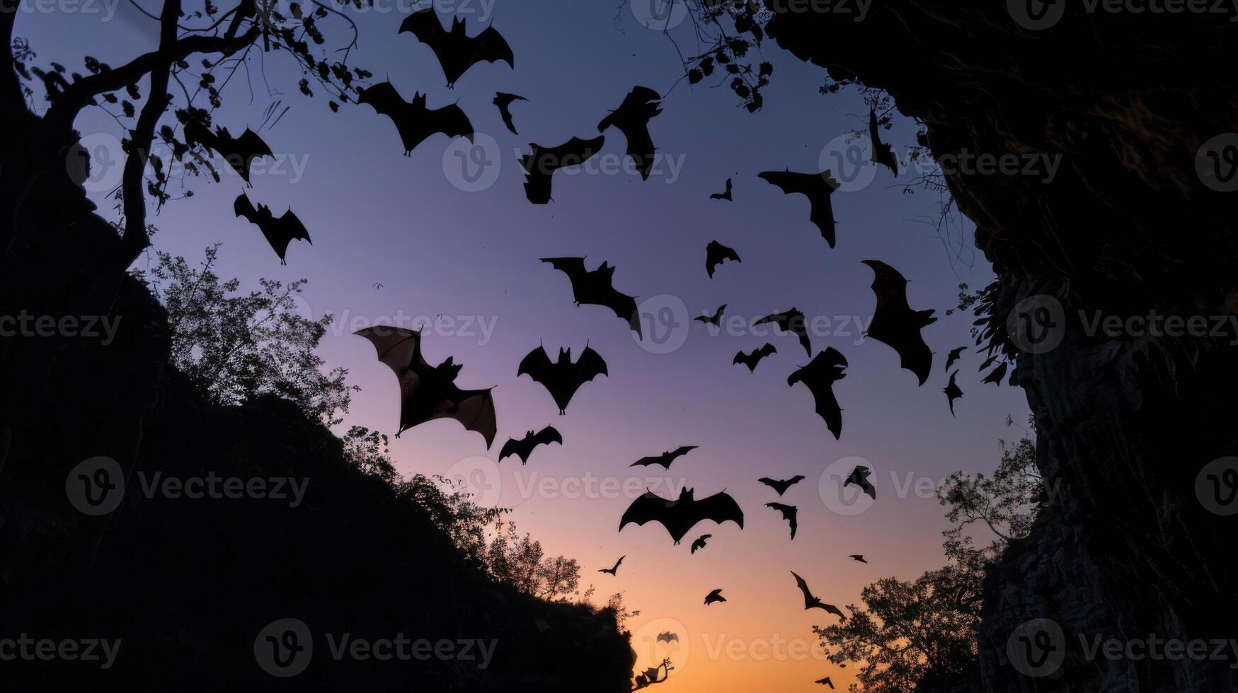 A bat flying in the sky with a sunset in the background photo