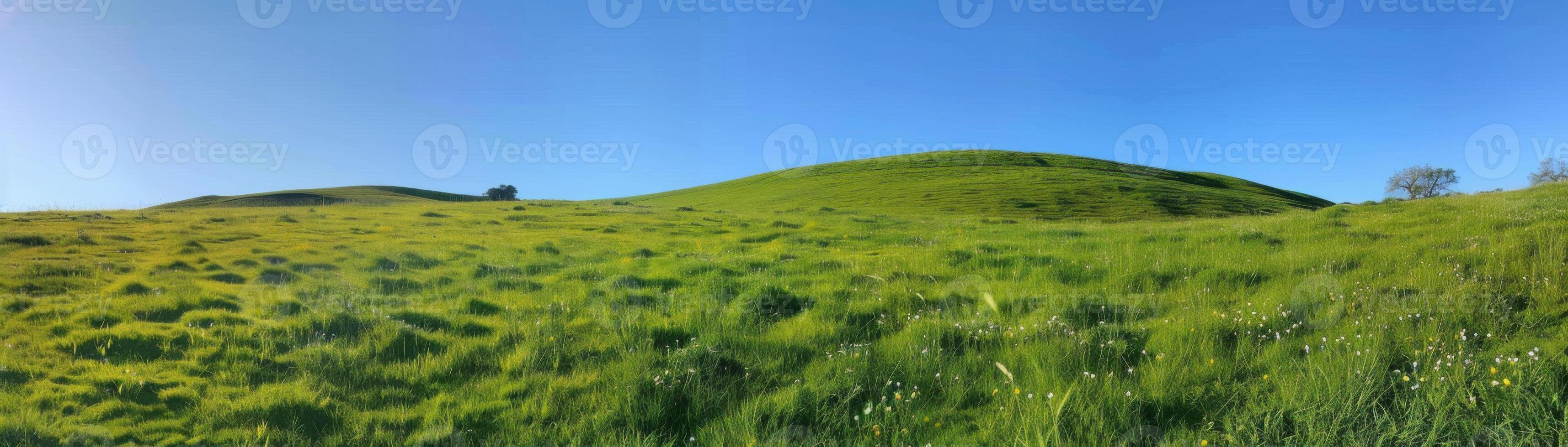 A painting of a green field with a blue sky photo