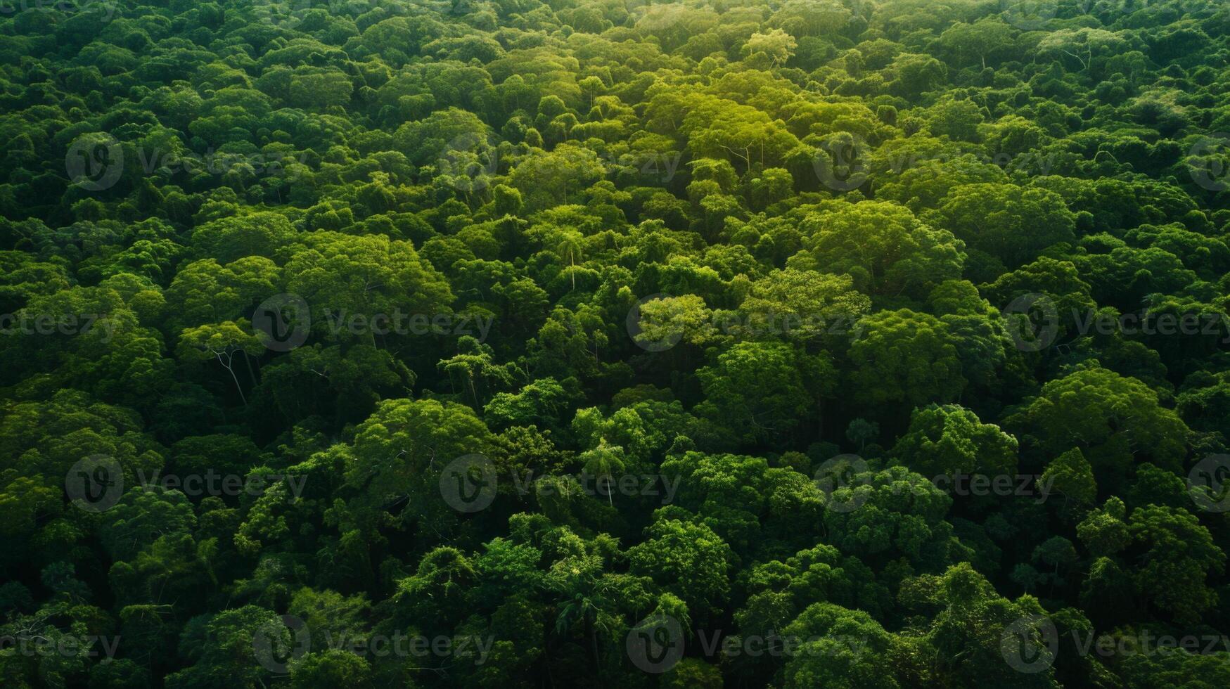 A lush green field with trees in the background photo