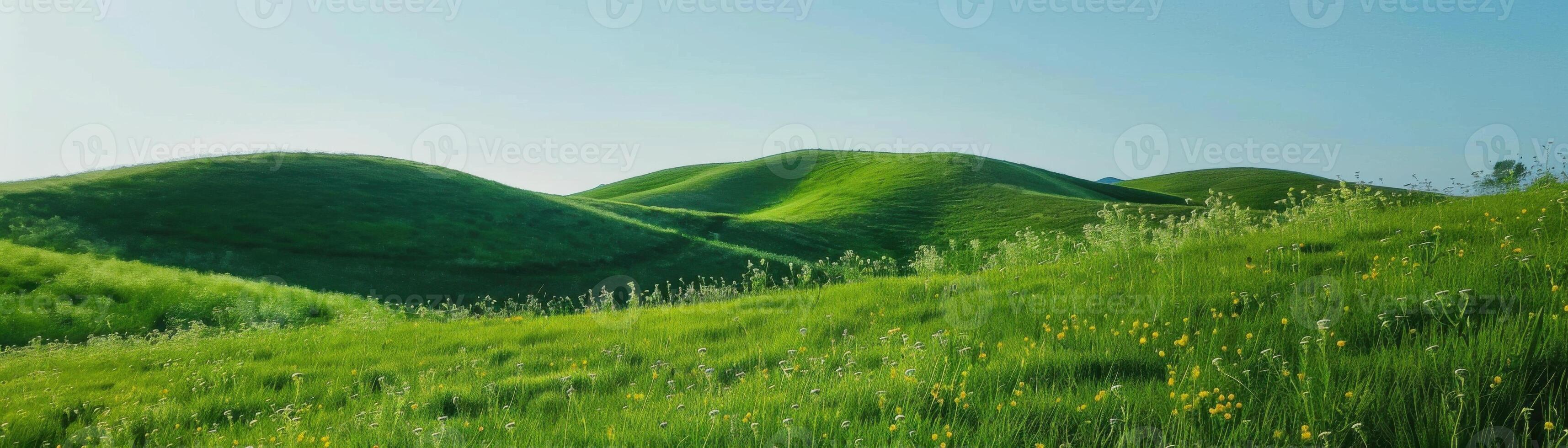 A painting of a green field with a blue sky photo