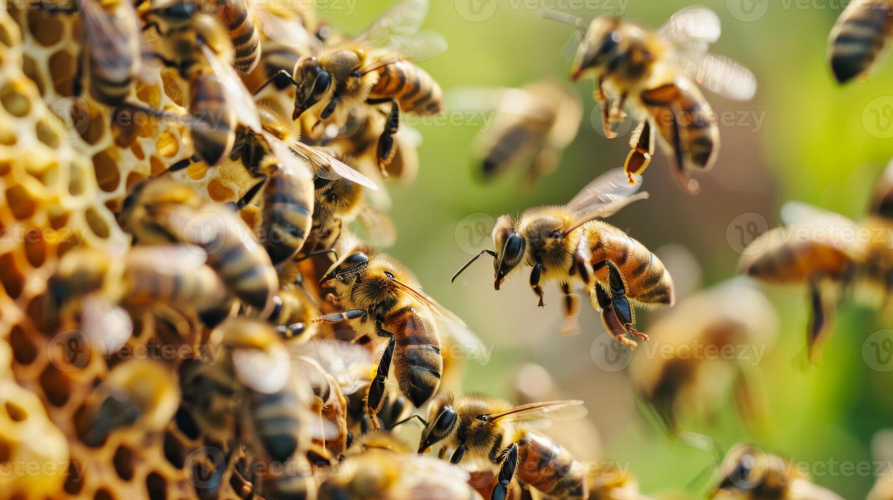 A group of bees flying in the air photo