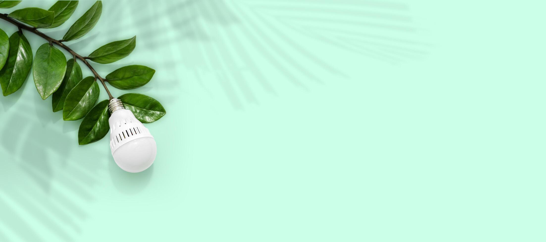 LED light bulb on a background of green leaves, as a symbol of green energy, energy saving and environmental care. Isolated pastel green background. photo