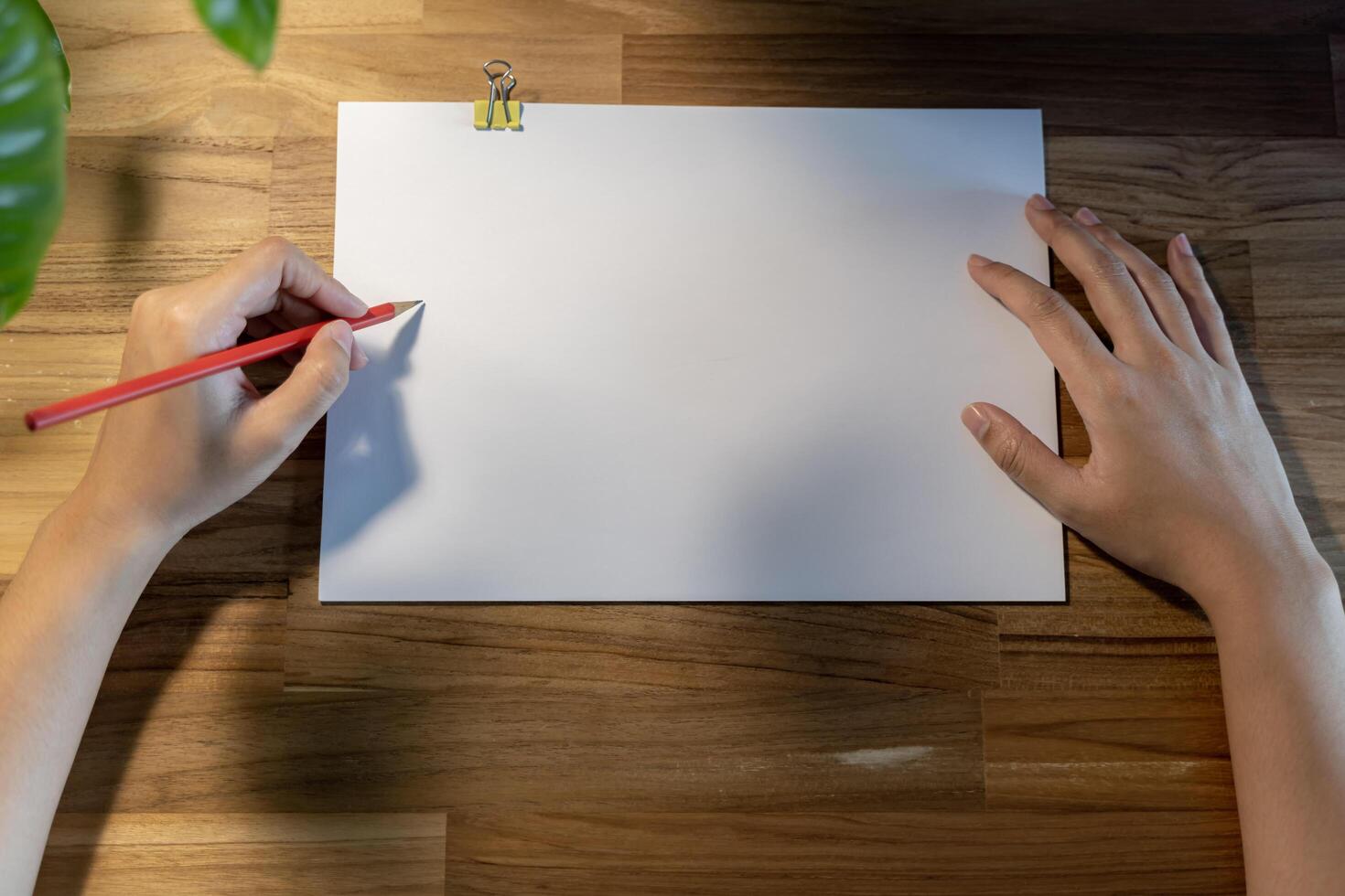 Woman's hand writing in notebook on white wooden table. Working place and planning concept, top view. photo