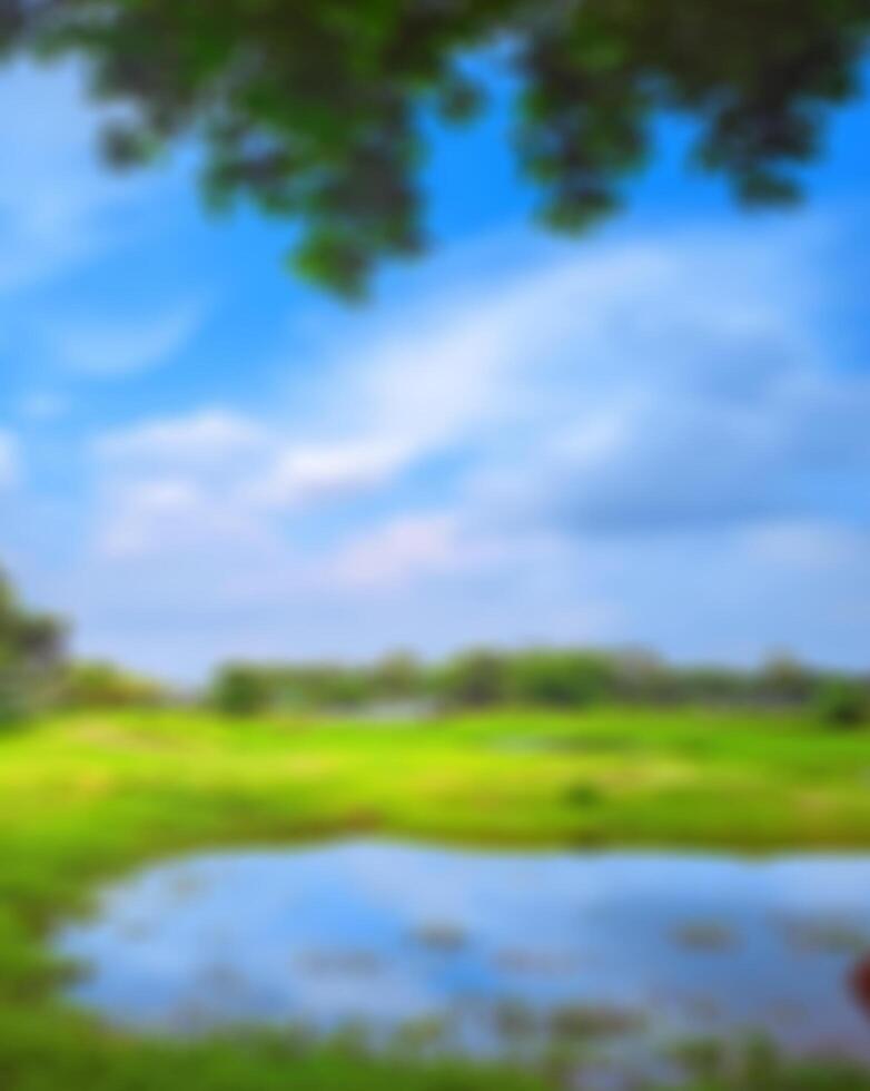 blur new background photo