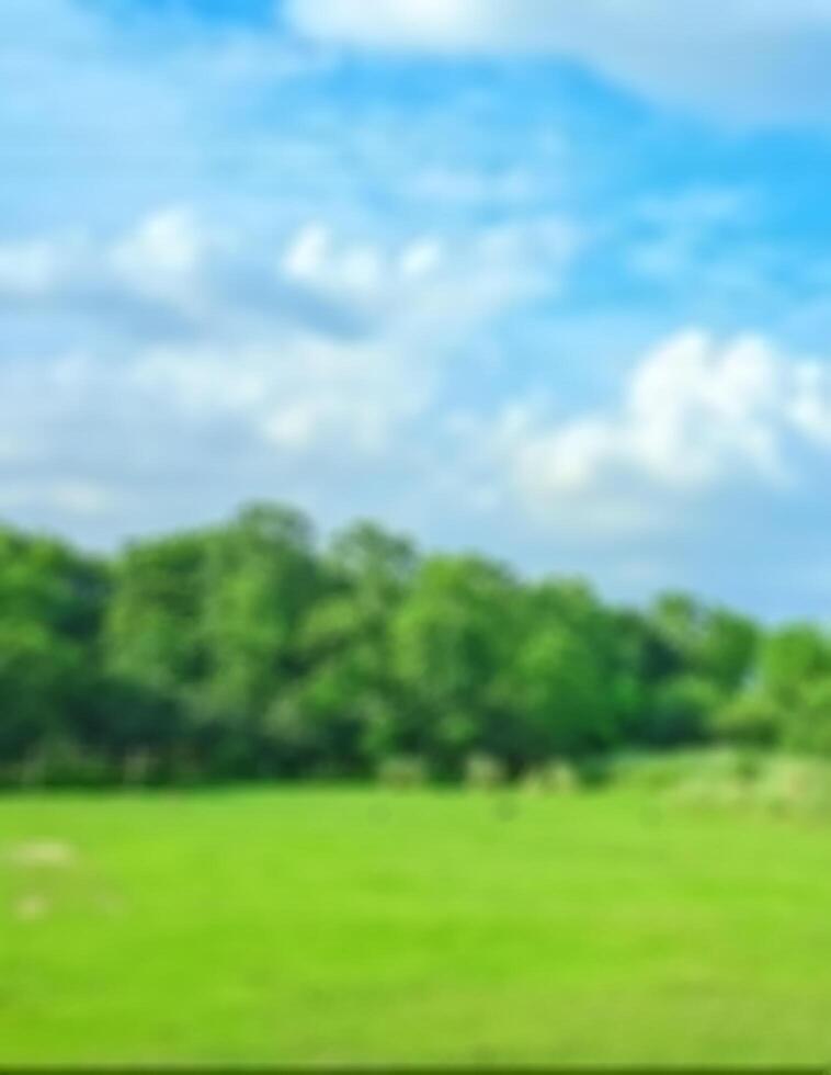 hd blur background photo