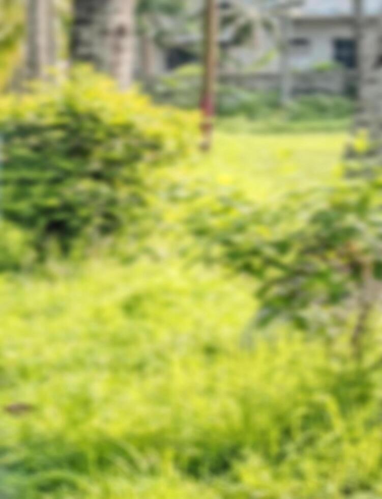 best photo editor to blur background