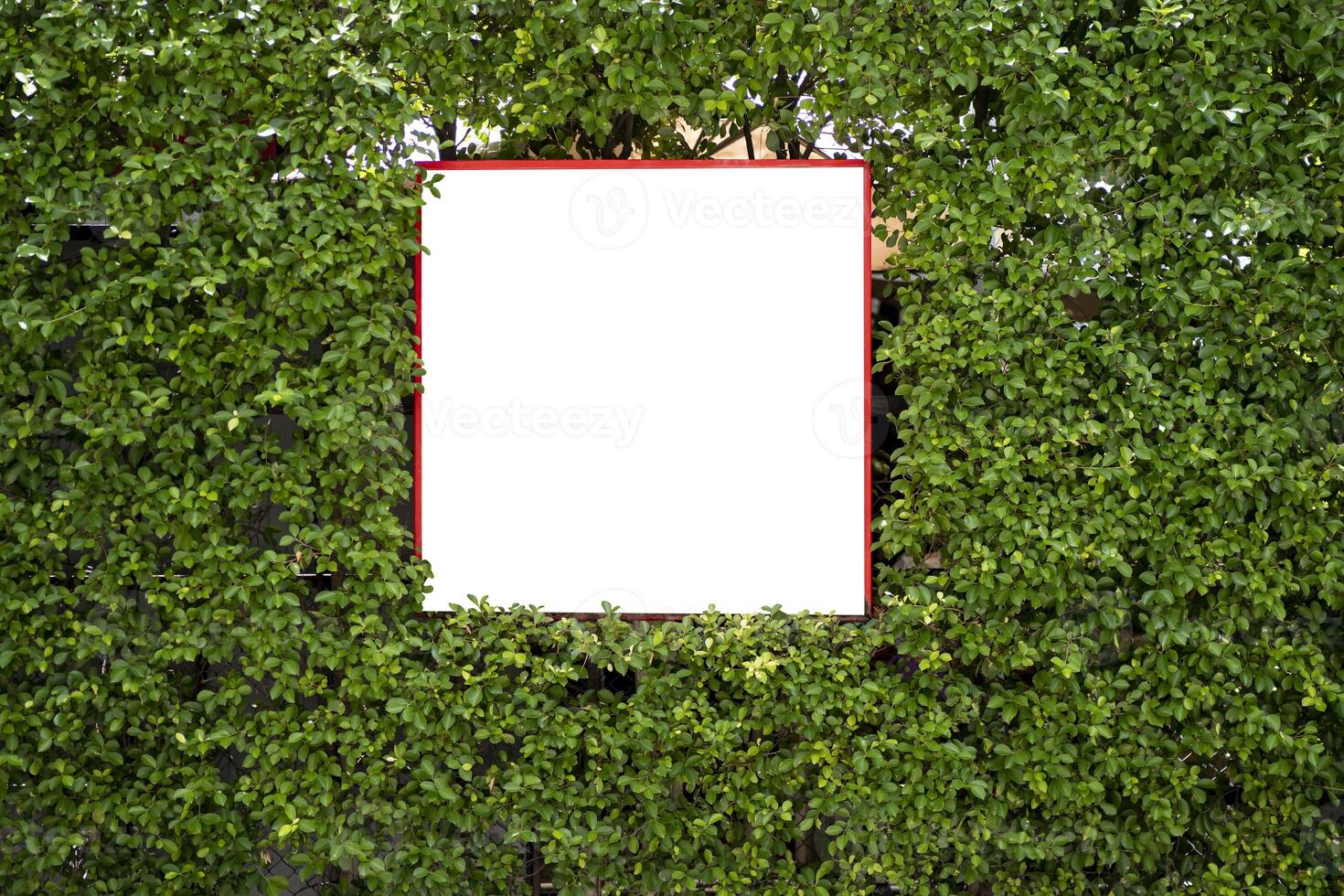 Blank billboard in the street, green plants. Easel with blank white canvas on green tropical flowers background . 3d rendering. clipping path photo