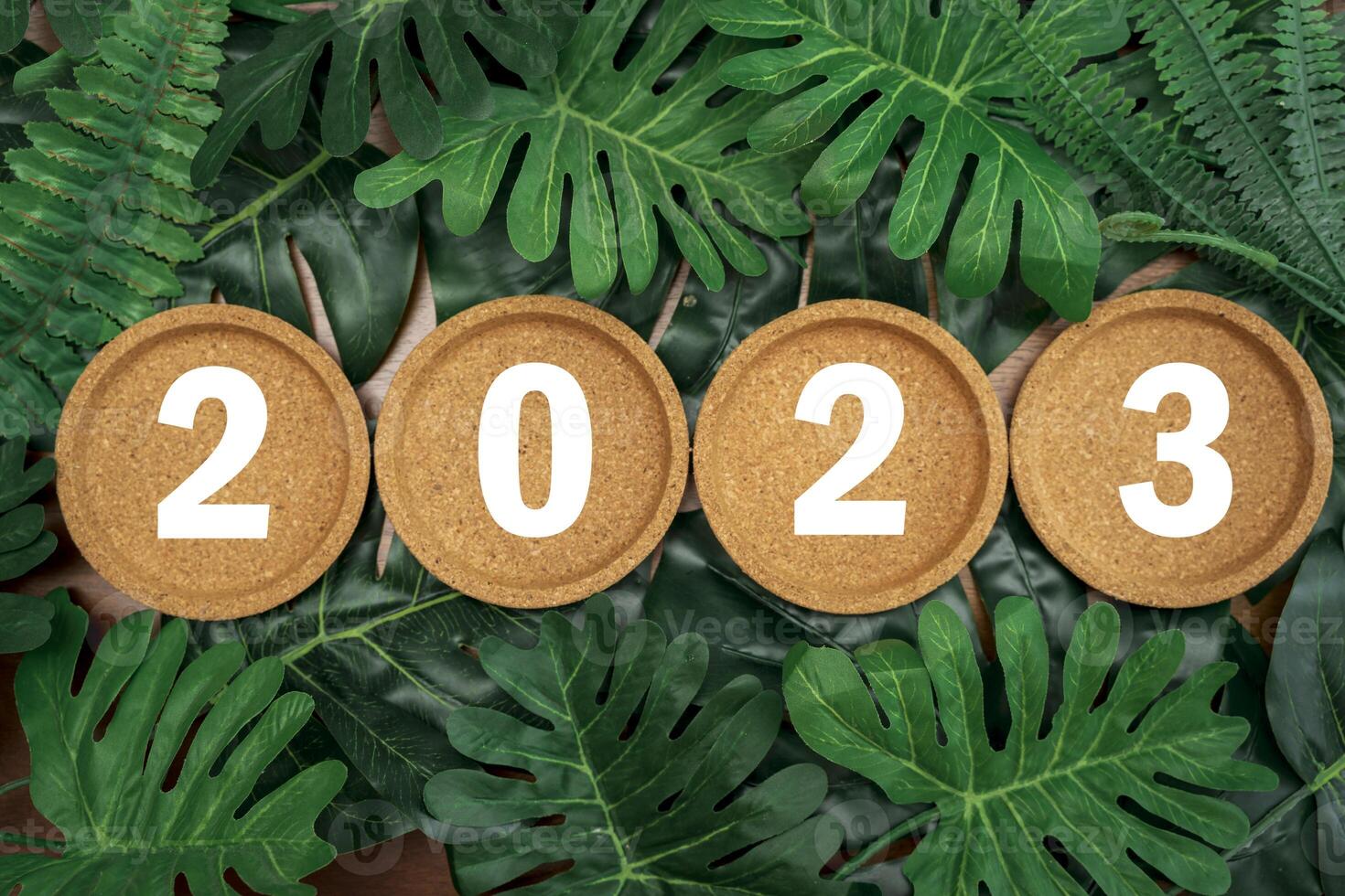 Cork coasters on tropical leaf background. 2023 Happy New Year with christmas lantern decorative on leaf. photo