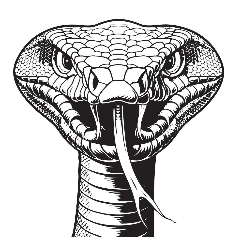 Clean lines doodle design of Cobra snake vector