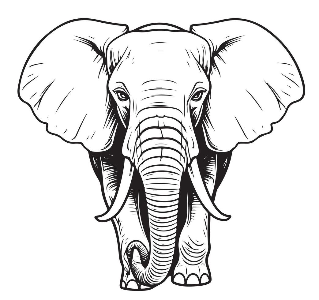Elephant sketch hand drawn vector