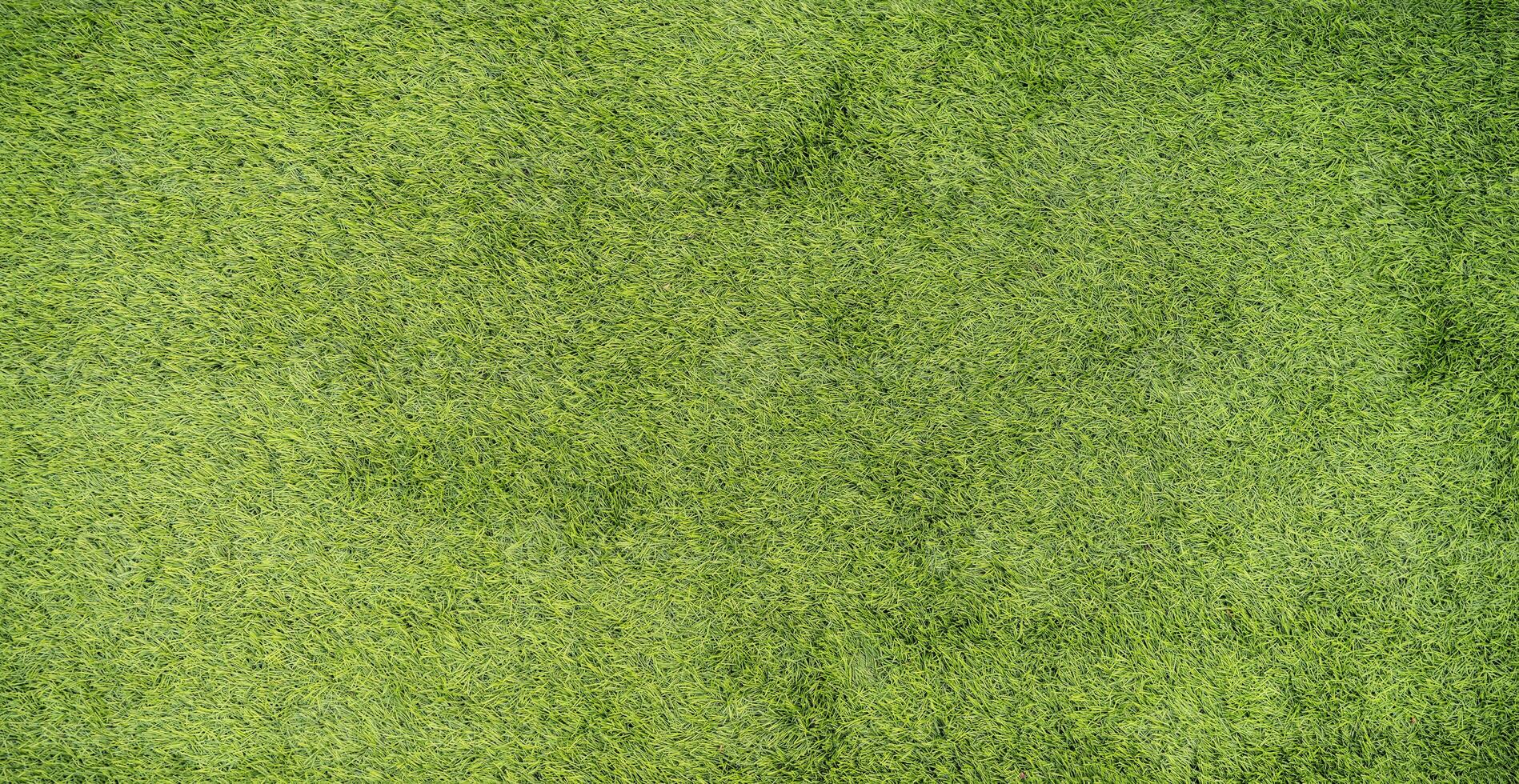 Green grass background of football field. photo