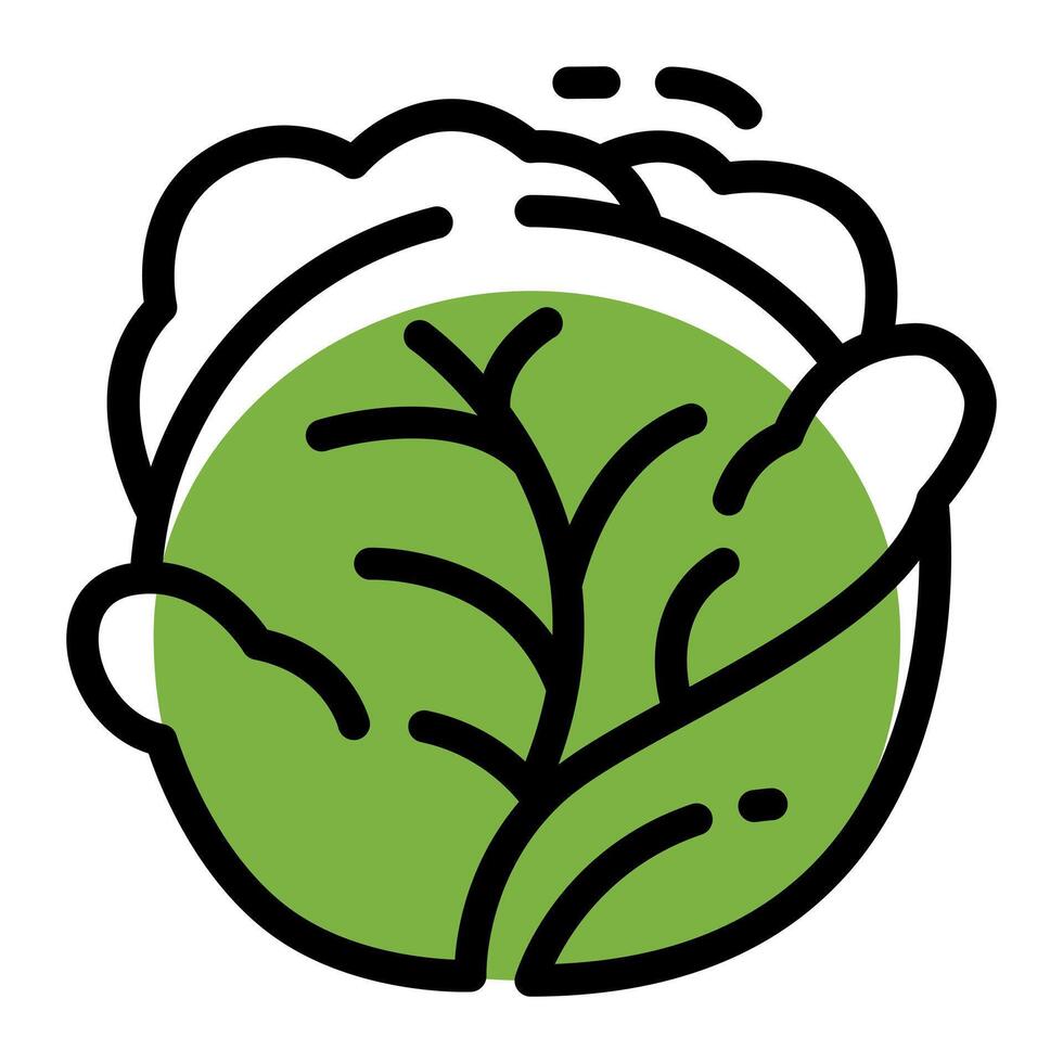 Cabbage Simple Line Icon Logo Symbol vector