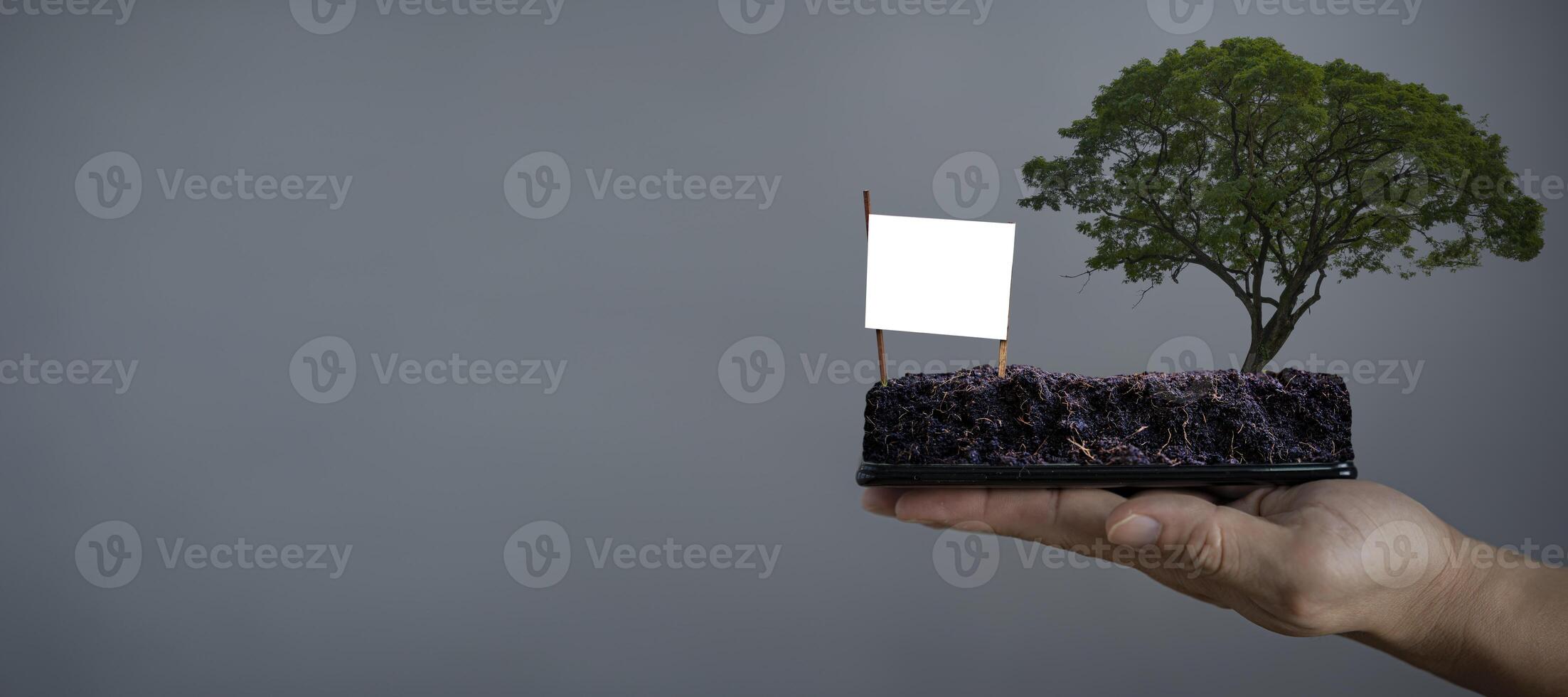 businessman to sell the land to the people who want it. Blank billboard in a plot for sale, development photo