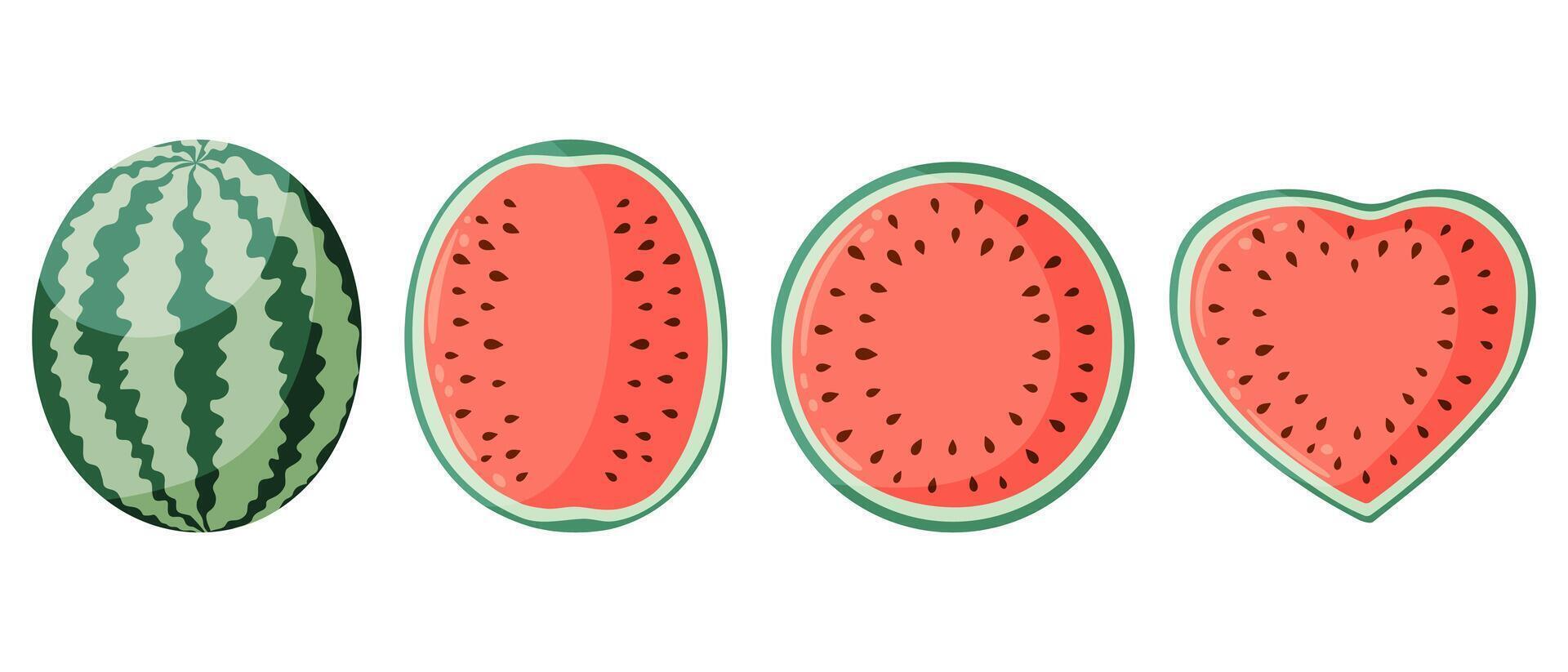 Watermelon illustrations set with whole watermelon and watermelon halves. Flat style drawings for food graphics, summer designs, menu, logo, stickers, greeting cards, invitations. vector