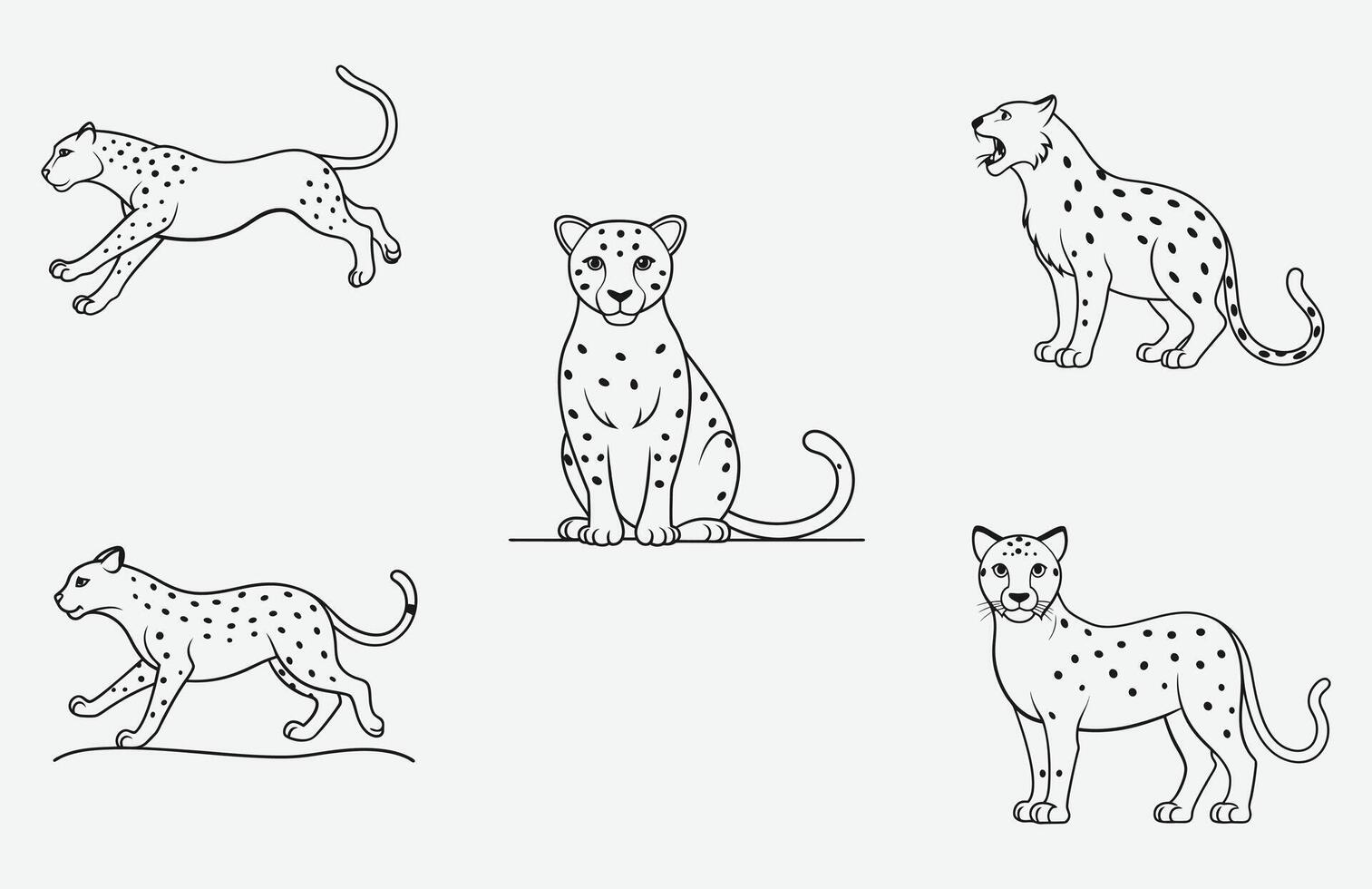 Graceful Leopard Line Art Set - Detailed Wildlife Illustrations vector