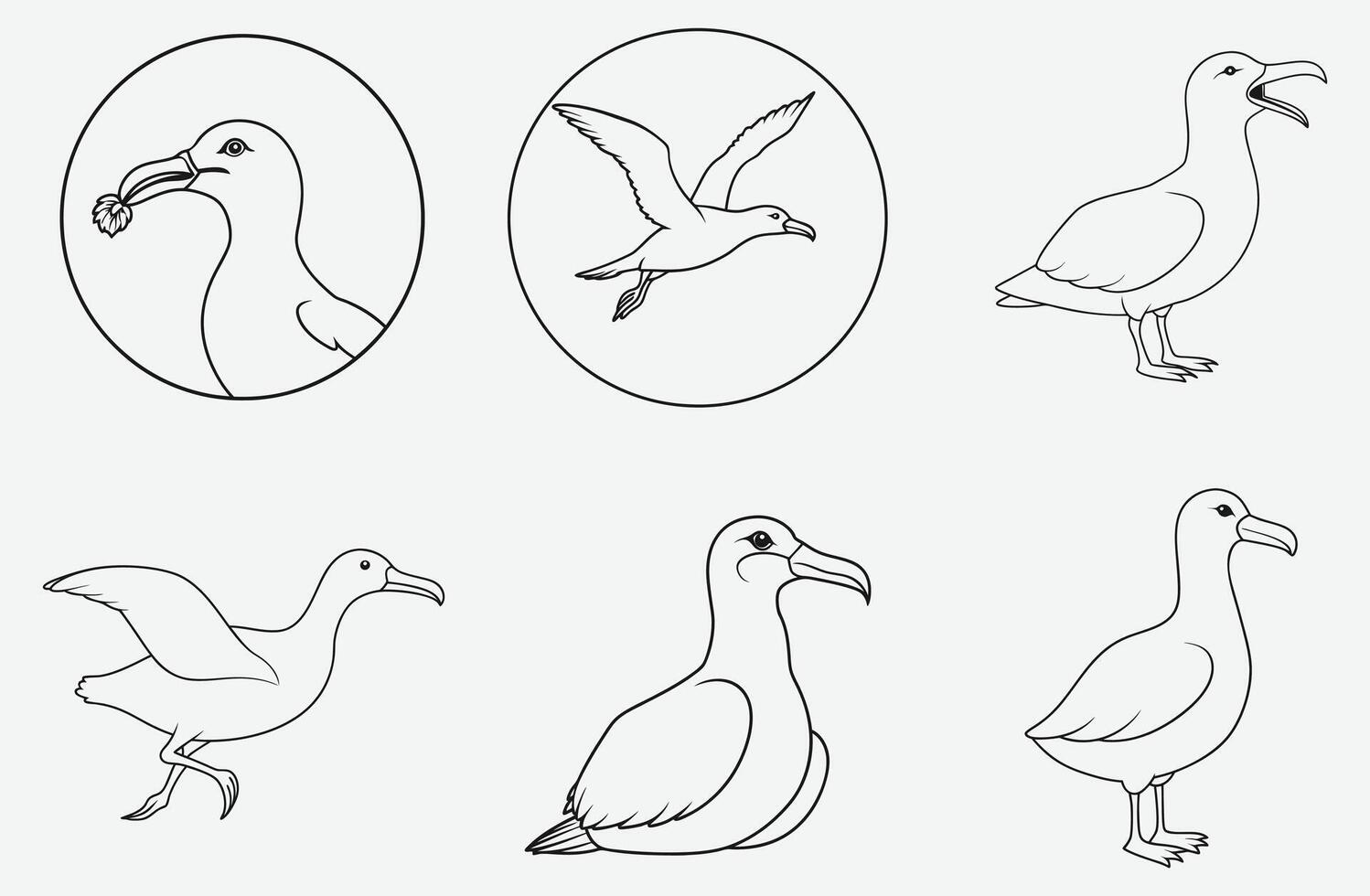 Exquisite Albatross Line Art Collection vector